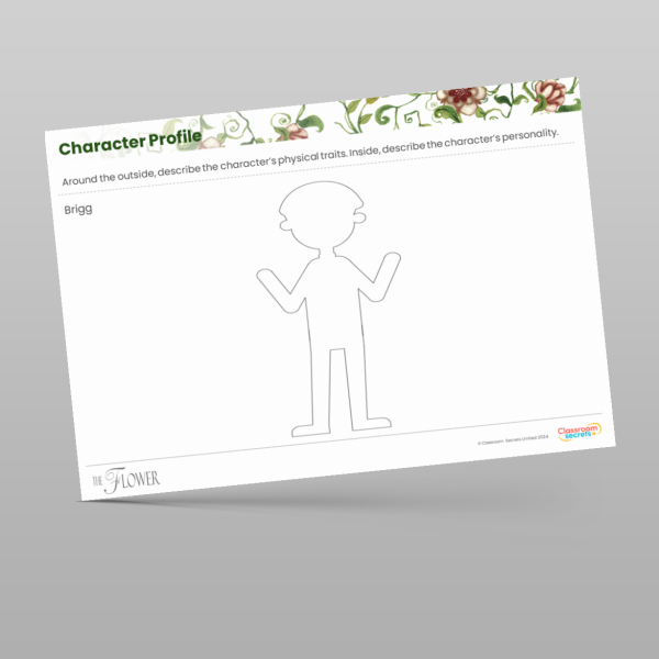 Year 3 The Flower Writing Unit Character Profile Resource | Classroom ...