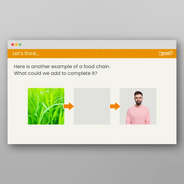 An image of the Lesson 6: What is a Food Chain? Resource