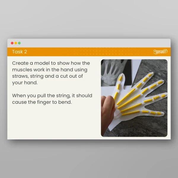An image of the Lesson 6: How Do Our Bodies Move? Resource