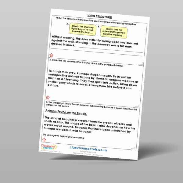 An image of the Using Paragraphs Homework Resource