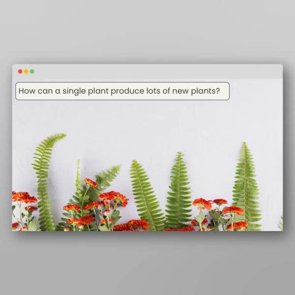 An image of the Lesson 2: How Do Plants Reproduce? Investigation Resource