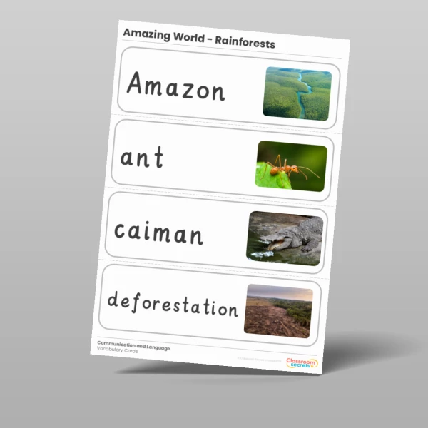 An image of the Amazing World - Rainforests Vocabulary Cards Resource