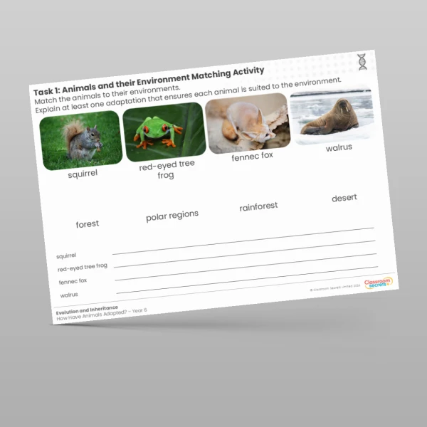 An image of the Animals and their Environment Matching Activity Worksheet Resource
