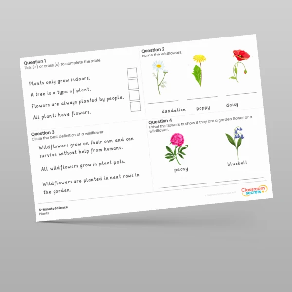 An image of the Plants 5-Minute Science Resource