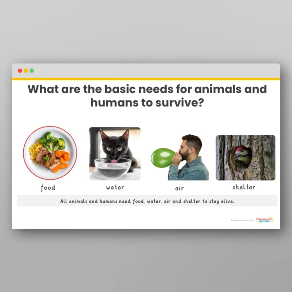 An image of the Animals Including Humans Display Pack Resource