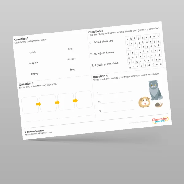 An image of the Animals including Humans 5-Minute Science Resource