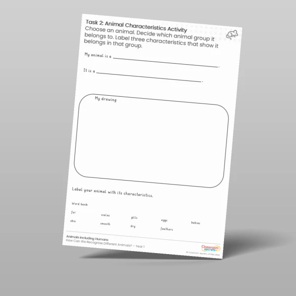 An image of the Lesson 4: Labelling Animal Characteristics Worksheet Resource