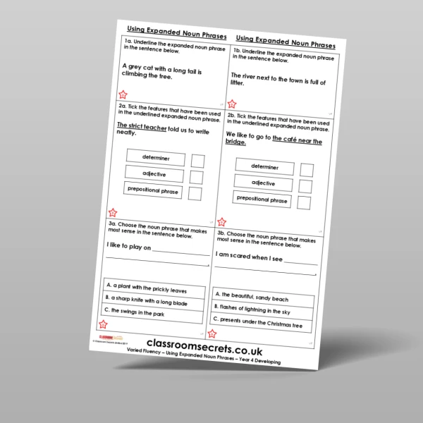 An image of the Using Expanded Noun Phrases Varied Fluency Resource