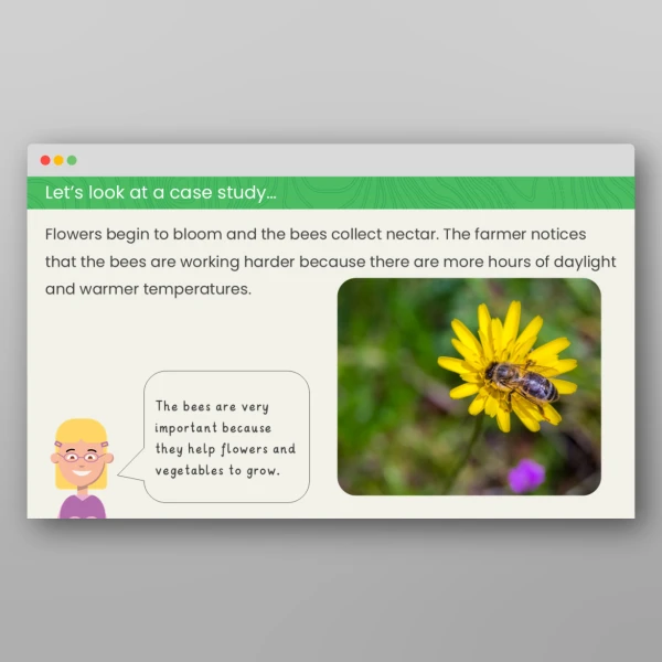 An image of the Spring and Summer Geography PPT Resource