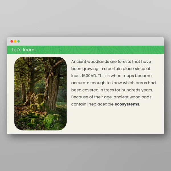 An image of the Forests in the United Kingdom Geography PPT Resource
