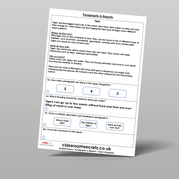 An image of the Paragraphs in Reports Varied Fluency Resource