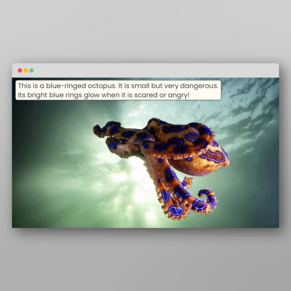 An image of the Amazing Oceans PPT Resource