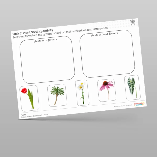 An image of the Lesson 1: Plant Sorting Activity Resource