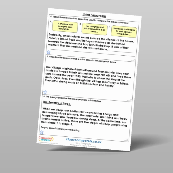 An image of the Using Paragraphs Homework Resource