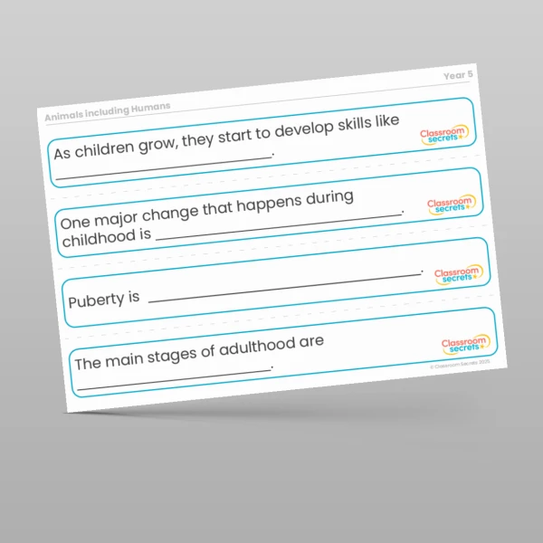 An image of the Animals including Humans Stem Sentences Resource