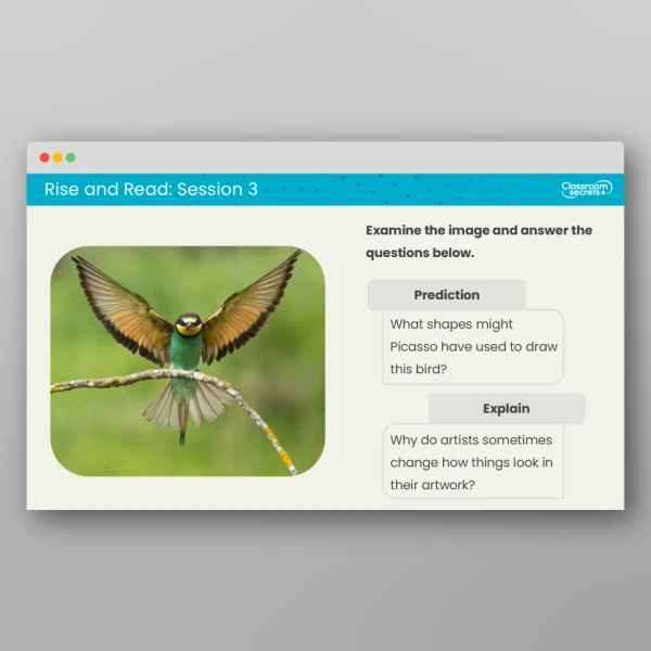 An image of the Rise and Read Picasso Resource