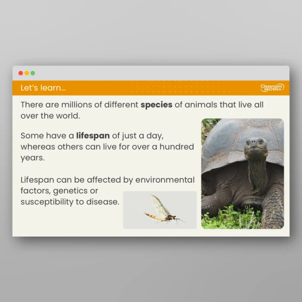An image of the Lesson 3: Are Life Cycles the Same Around the World? Resource