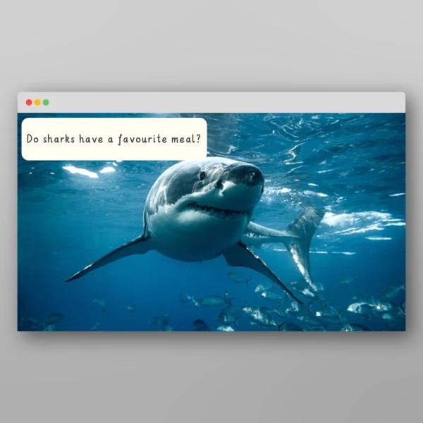An image of the Amazing World - All At Sea I Wonder Discussion Prompts Resource