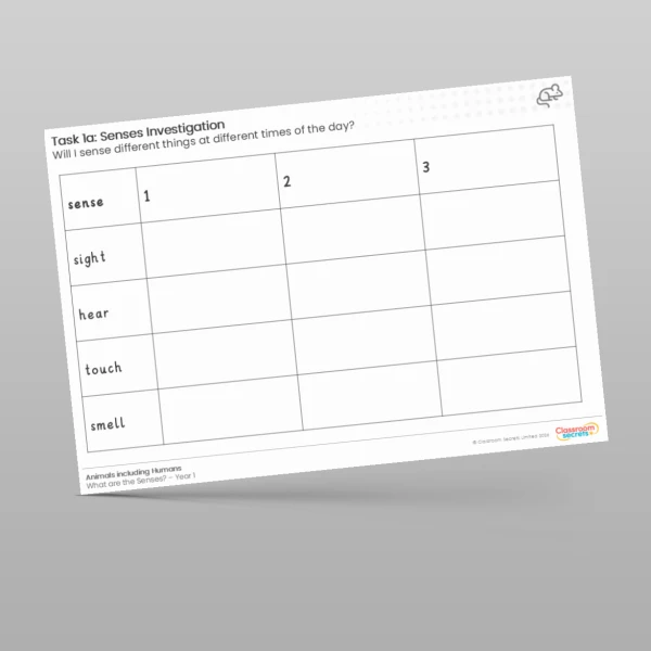 An image of the Lesson 5: Senses Investigation Worksheet Resource