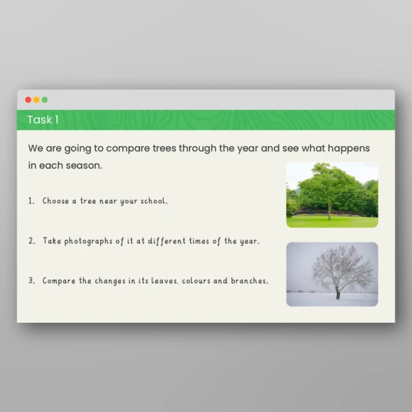 An image of the Seasons of the UK Geography PPT Resource