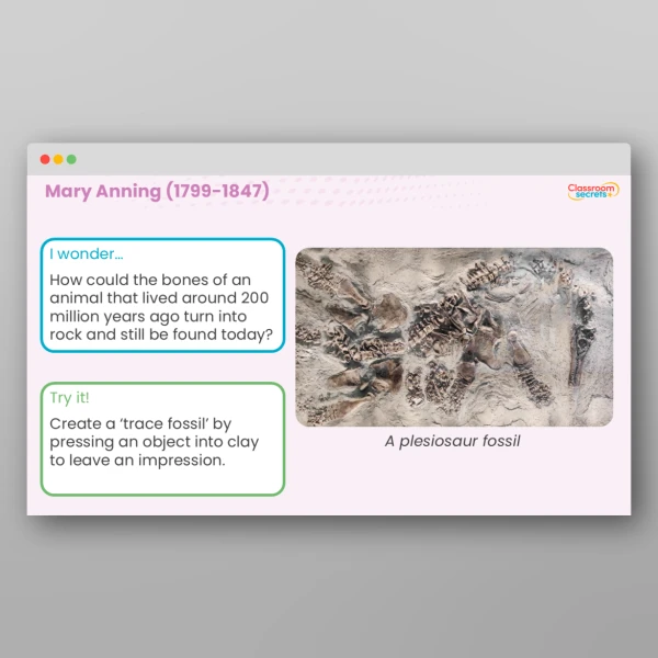 Year 3 and Year 4 Scientist of the Day Teaching PowerPoint