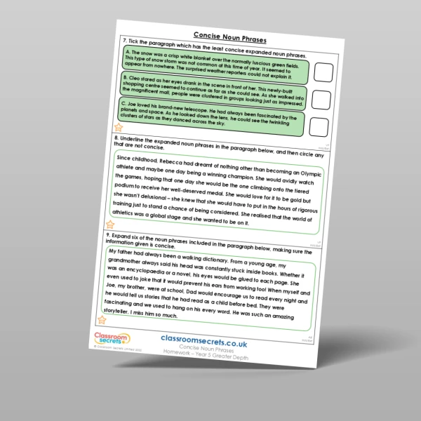 An image of the Concise Noun Phrases Homework Resource