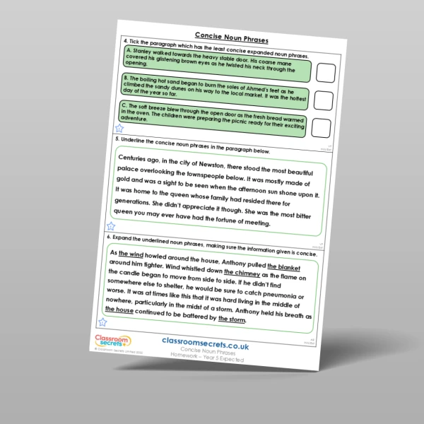 An image of the Concise Noun Phrases Homework Resource