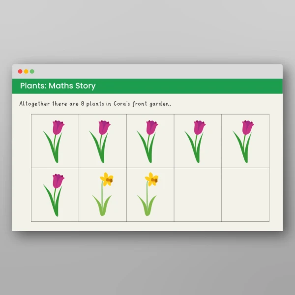 An image of the Plants Maths Story Resource