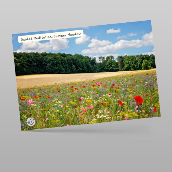 An image of the Guided Meditation: Summer Meadow PPT Resource