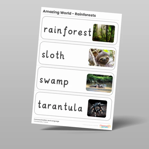 An image of the Amazing World - Rainforests Vocabulary Cards Resource