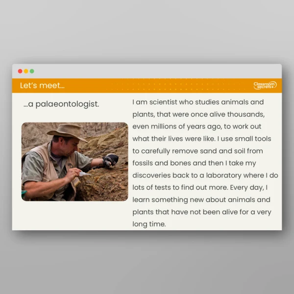 An image of the Lesson 3: How are Fossils Formed? Resource