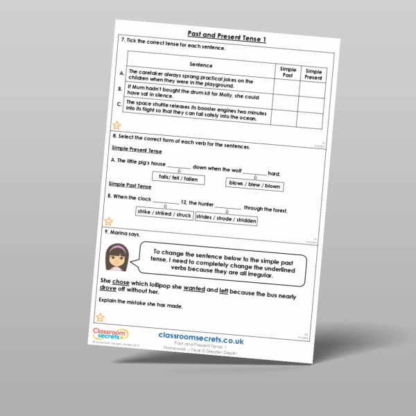 An image of the Past and Present Tense 1 Homework Resource