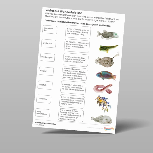 An image of the Weird but Wonderful Fish Activity Resource