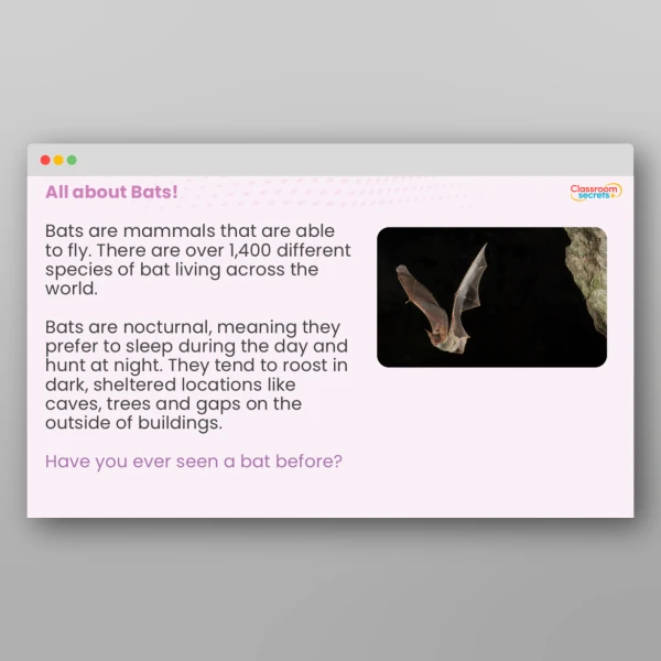 An image of the All About Bats Whole School Assembly PPT Resource