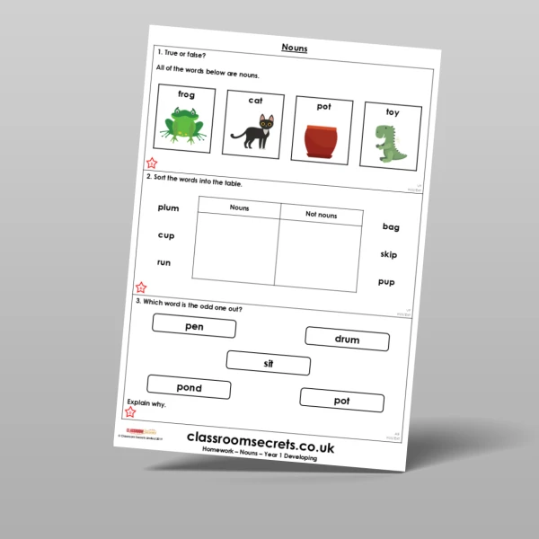 An image of the Free Nouns Homework Resource