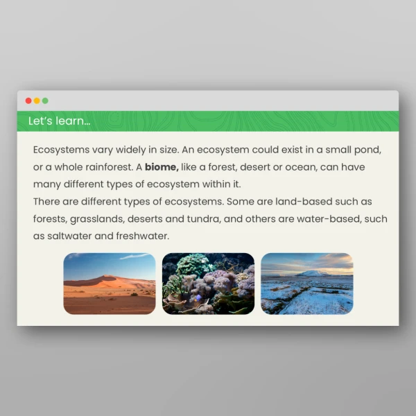 An image of the All About Ecosystems Geography PPT Resource