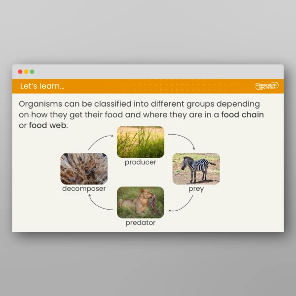 An image of the Lesson 6: Producer, Predator or Prey? Resource