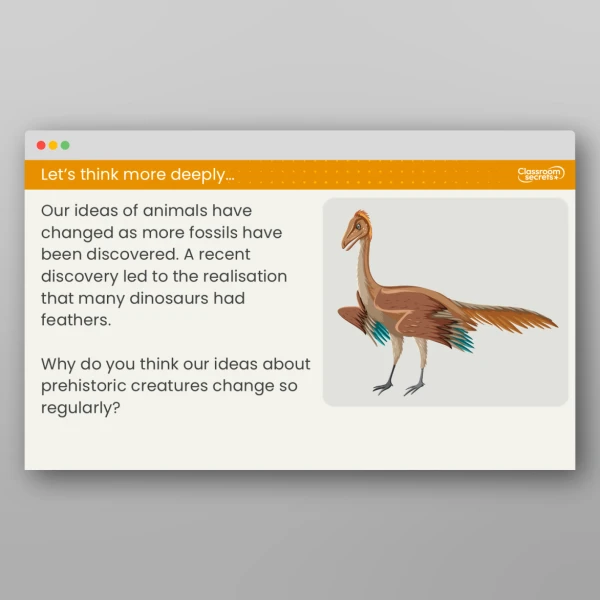 An image of the Lesson 1: What do Fossils Teach us? Resource