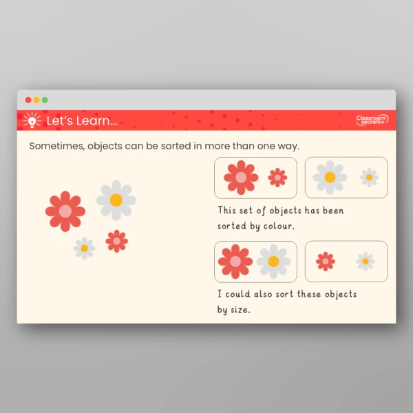 An image of the Sort Objects Teaching PPT Resource