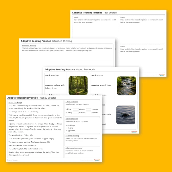 Year 2 Adaptive Reading Practice The Little Bridge lesson