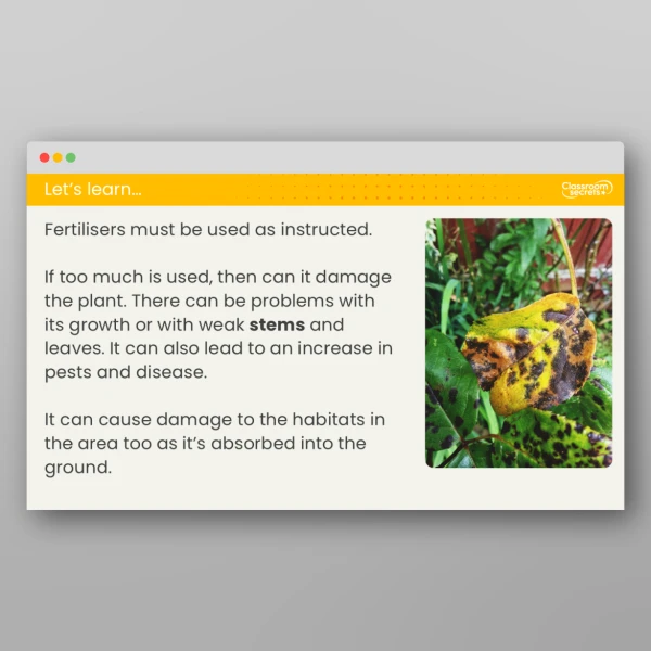 An image of the Lesson 6: What Effect Does Fertiliser Have on Plant Growth? Investigation Resource