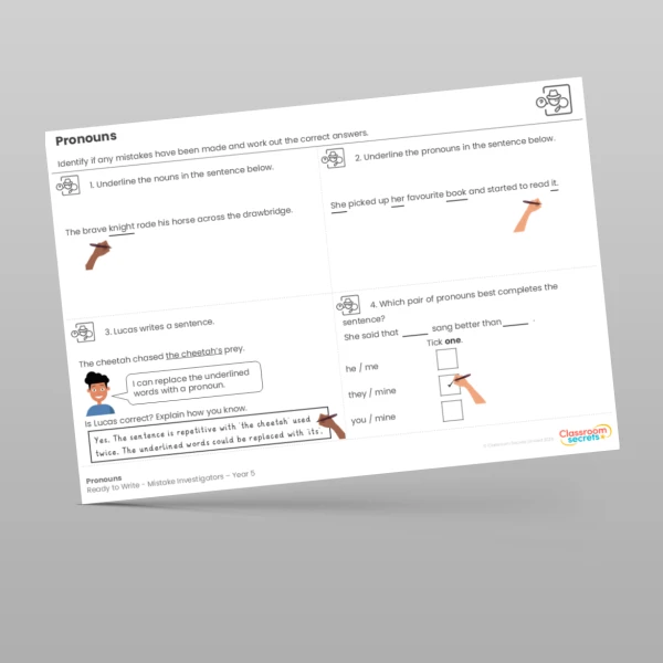 An image of the Pronouns Mistake Investigators Resource