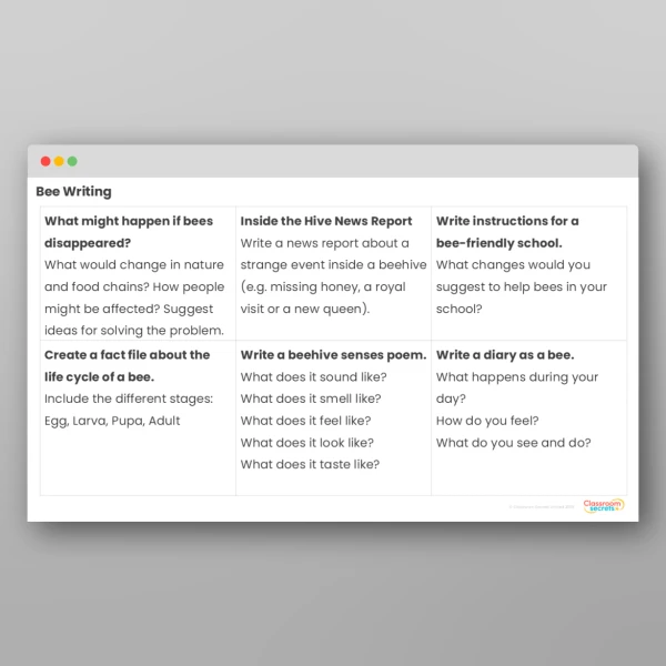 An image of the Bees Activity Pack Resource
