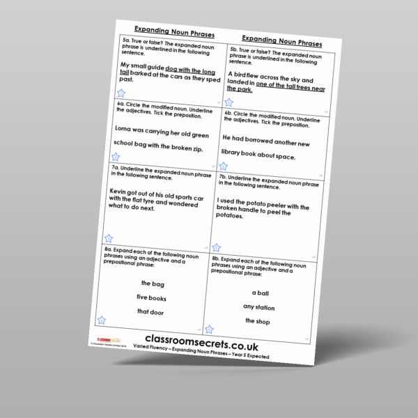 Year 5 Expanding Noun Phrases Varied Fluency Resource | Classroom Secrets