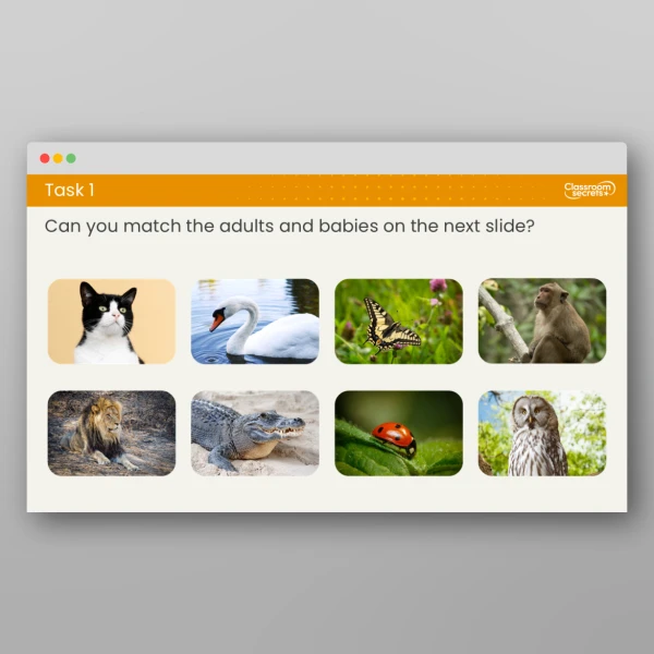 An image of the Free Lesson 1: How do Animals and Humans Change Over Time? Resource