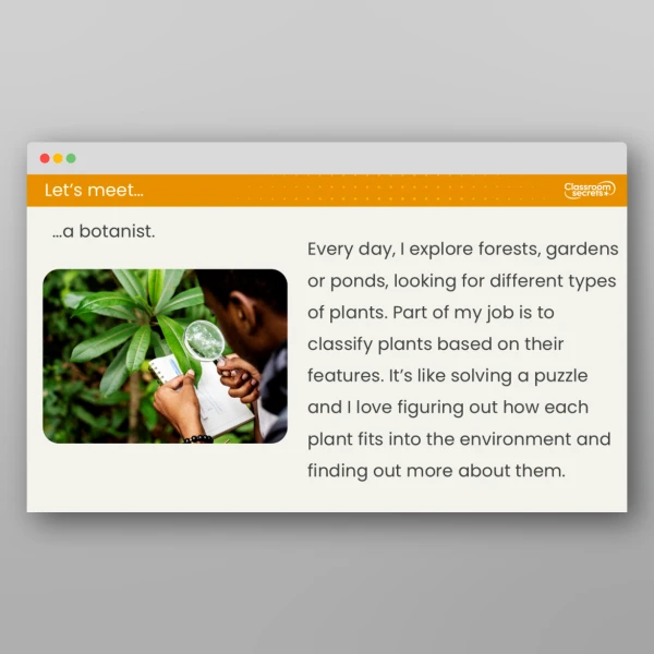 An image of the Lesson 5: How Can We Classify Plants? Resource
