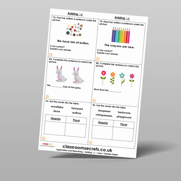 An image of the Adding '-s' Application and Reasoning Resource