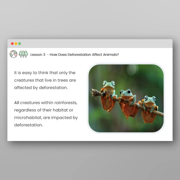 An image of the Deforestation Lessons Resource