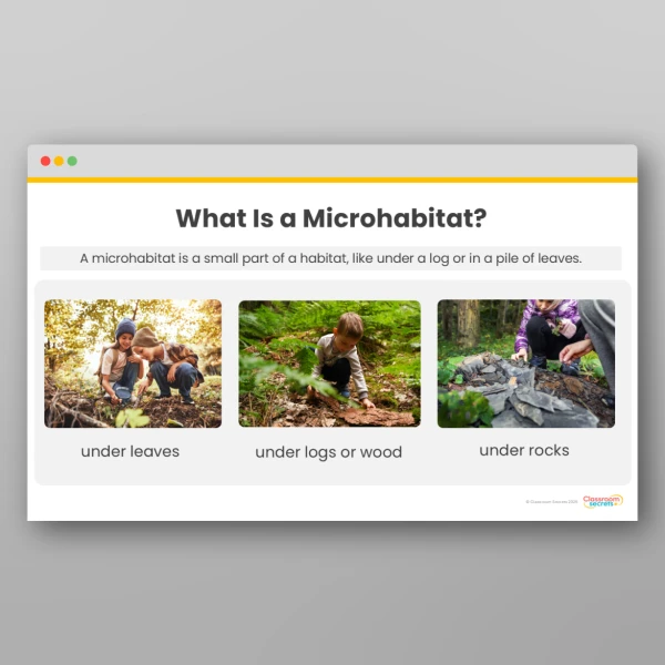 An image of the Environments and Habitats Display Pack Resource
