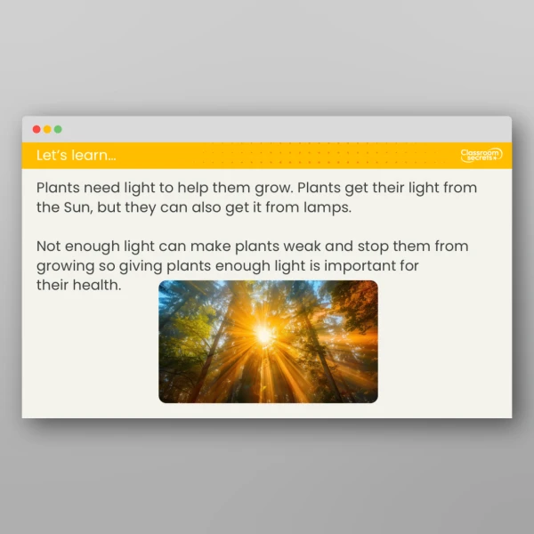 An image of the Lesson 3: What Do Plants Need to Grow? Investigation Resource